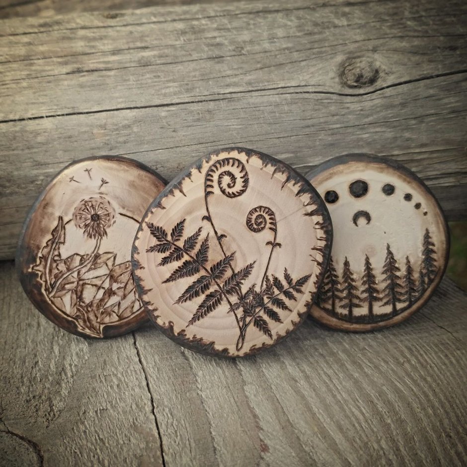 Заяц на срезе дерева