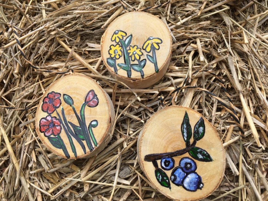 Спилы дерева для декора