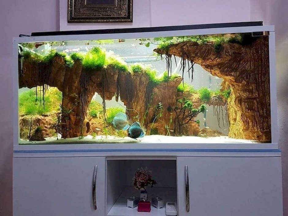 Украсить аквариум