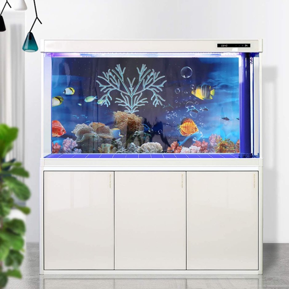 Настенный аквариум