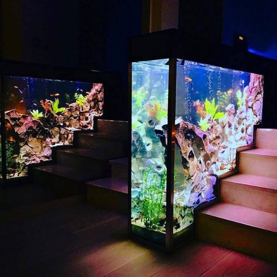 Дизайнерский аквариум