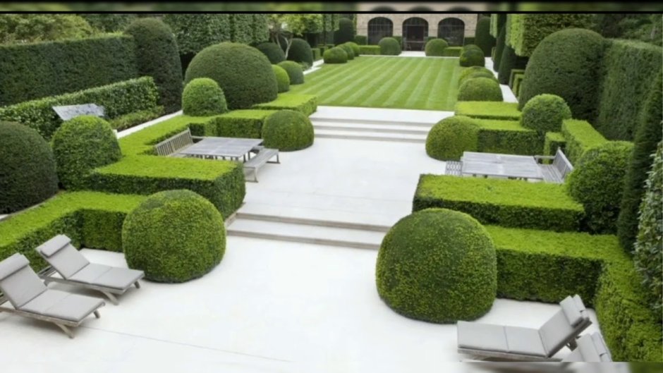 Солитер Ландшафтная архитектура