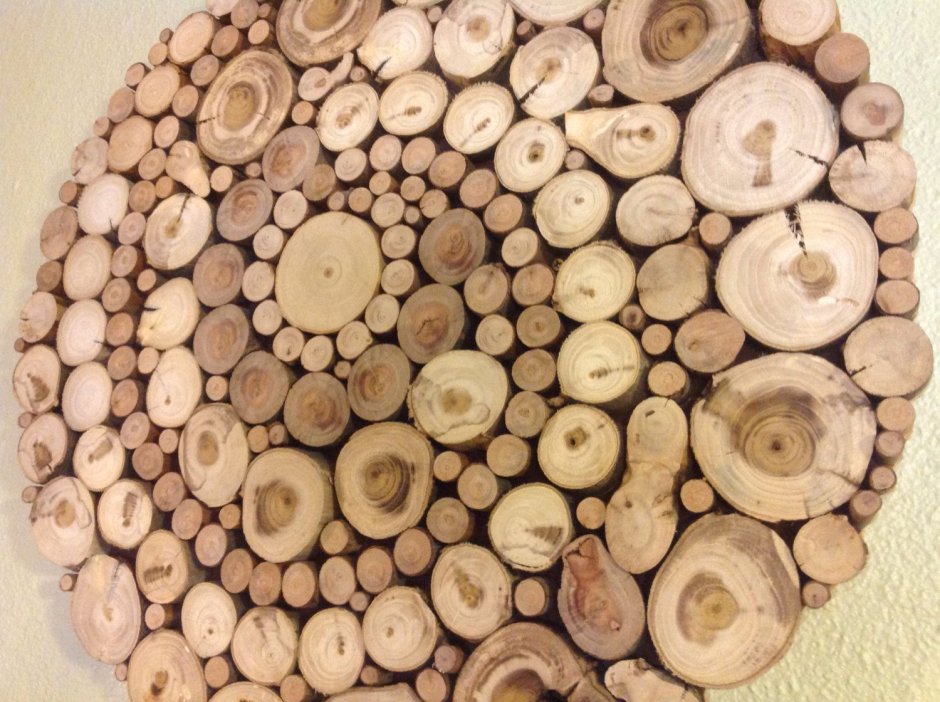 Круглый срез дерева в интерьере