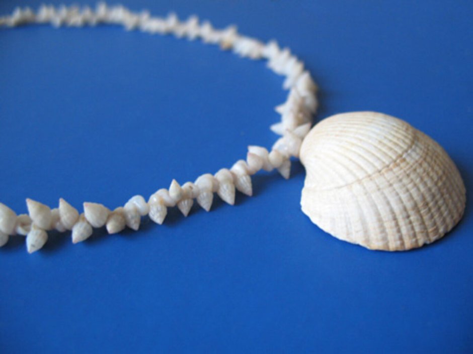 Панно из ракушек рапанов
