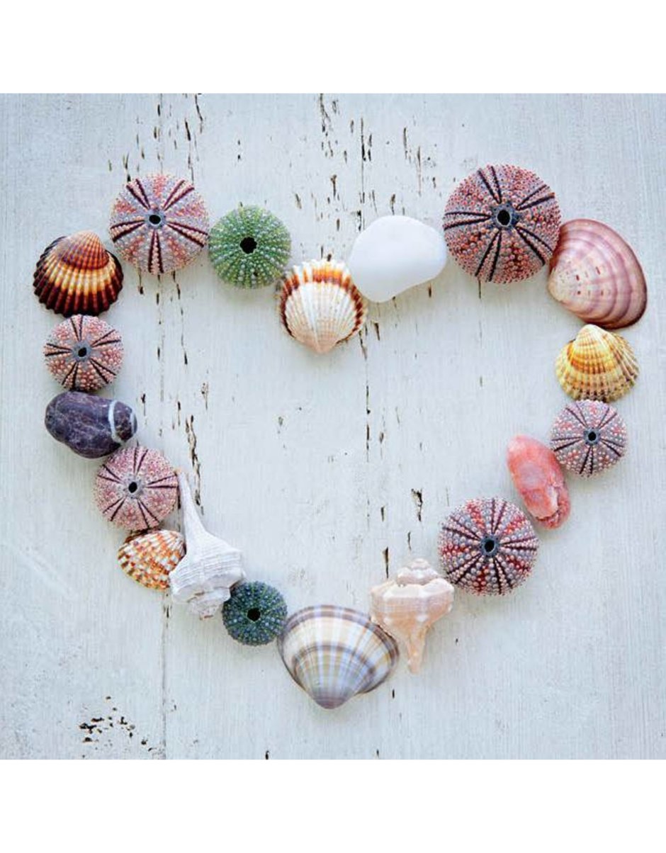 Сердечко из ракушек