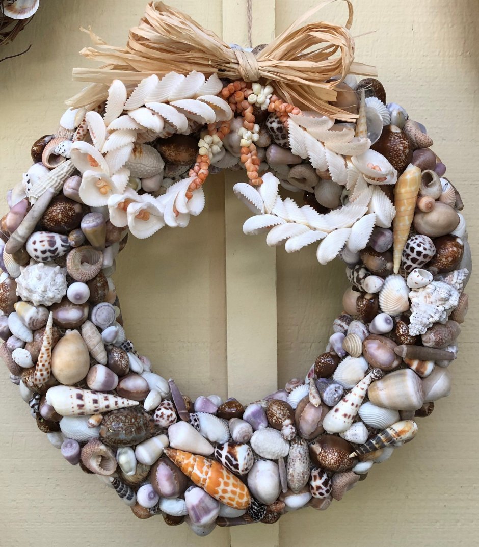 Ракушки Греция виды