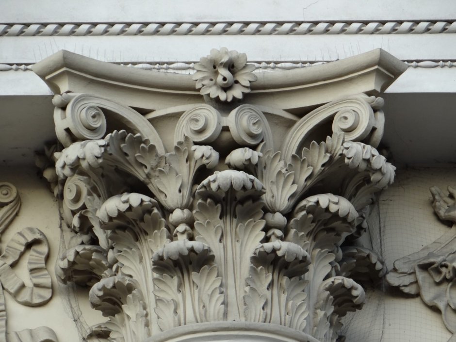 Акант аканф