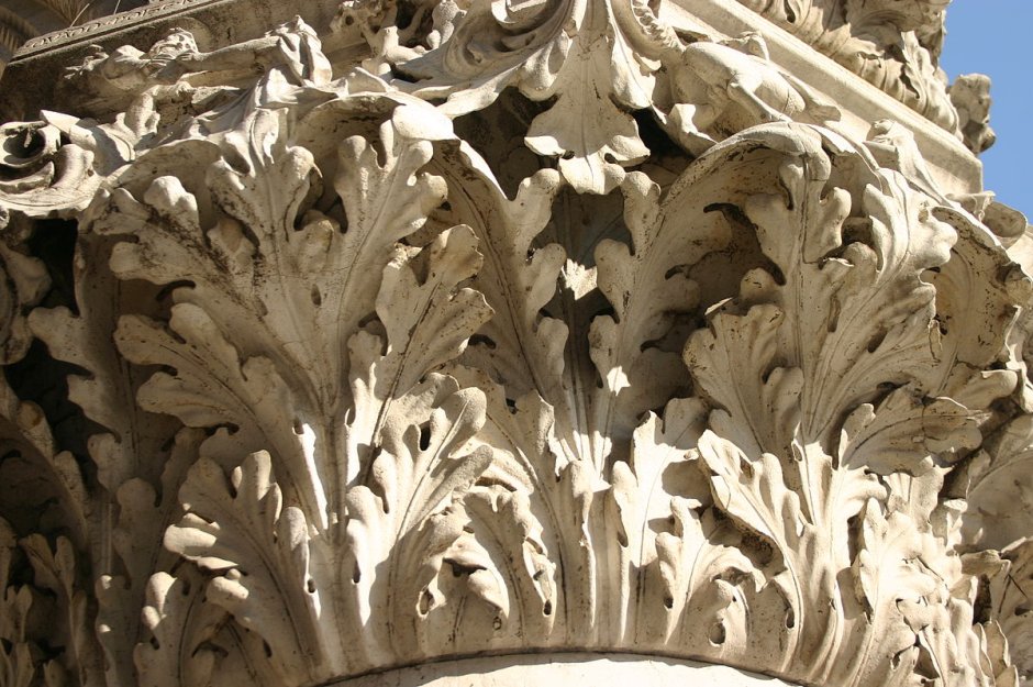 Акант аканф