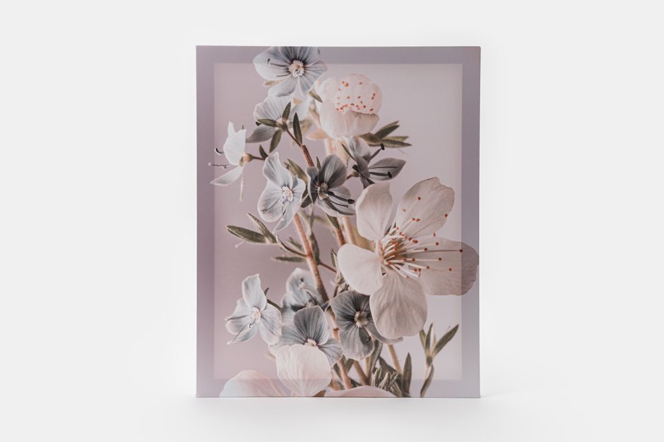 Канвас картина