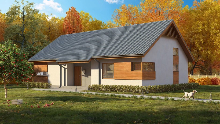 Фасады одноэтажных домов с двухскатной крышей