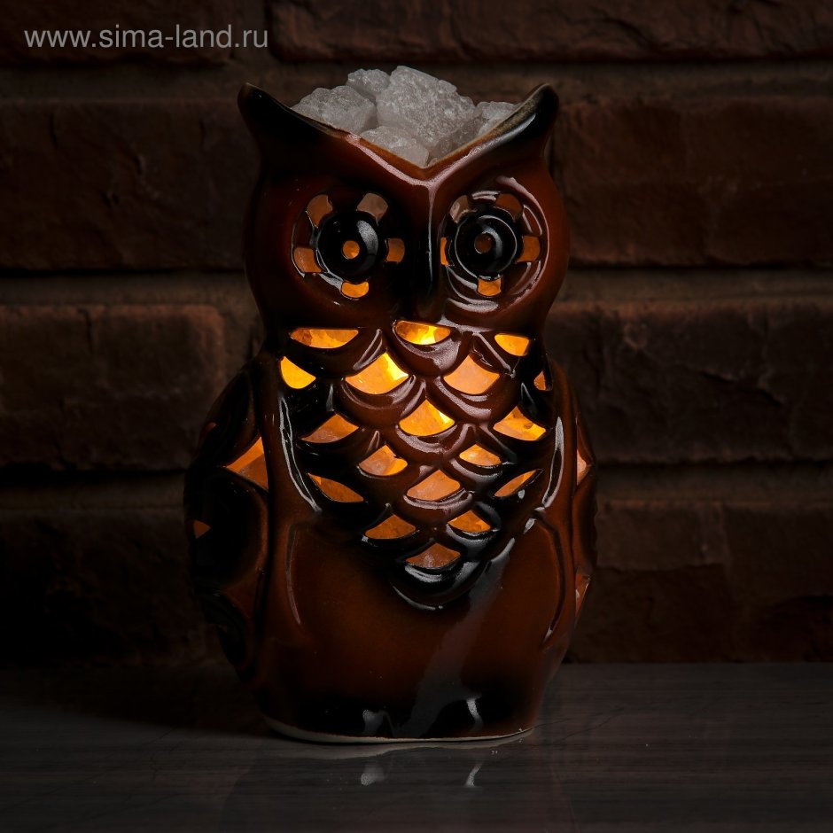 ДНС ночник Сова