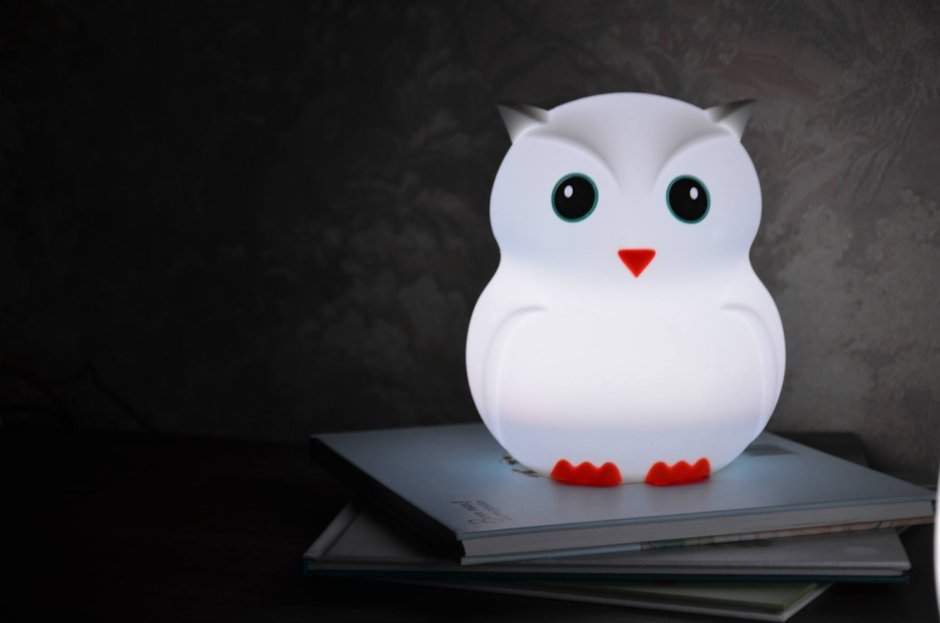 Светильник Сова на плафоне настенный