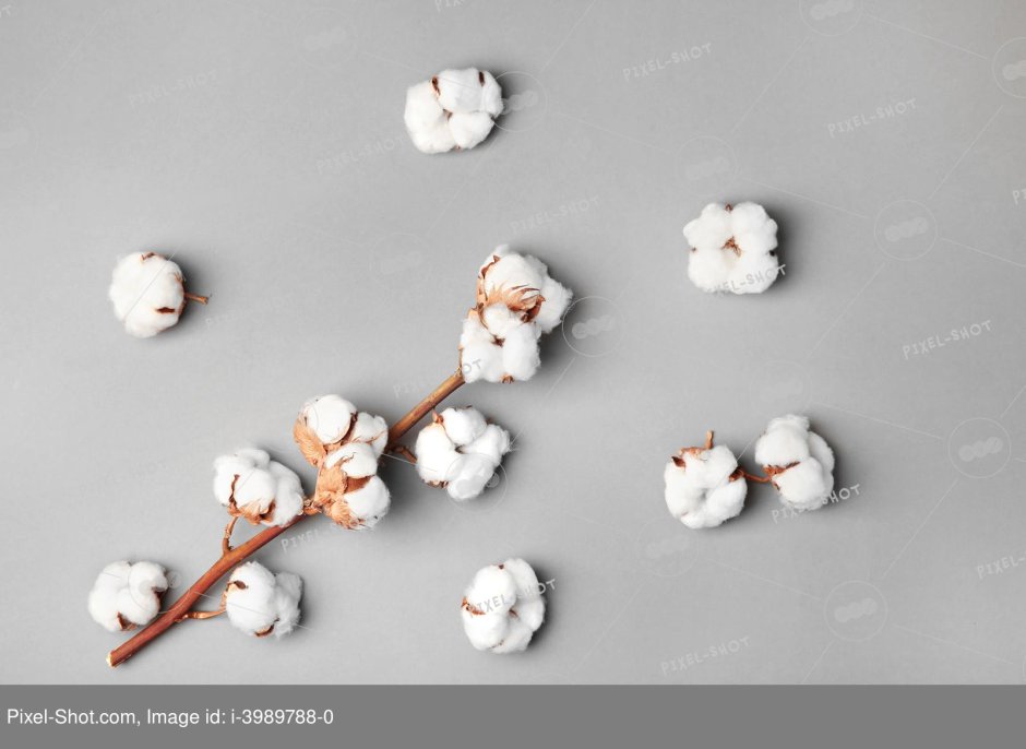 Фон для инстаграма в одном стиле