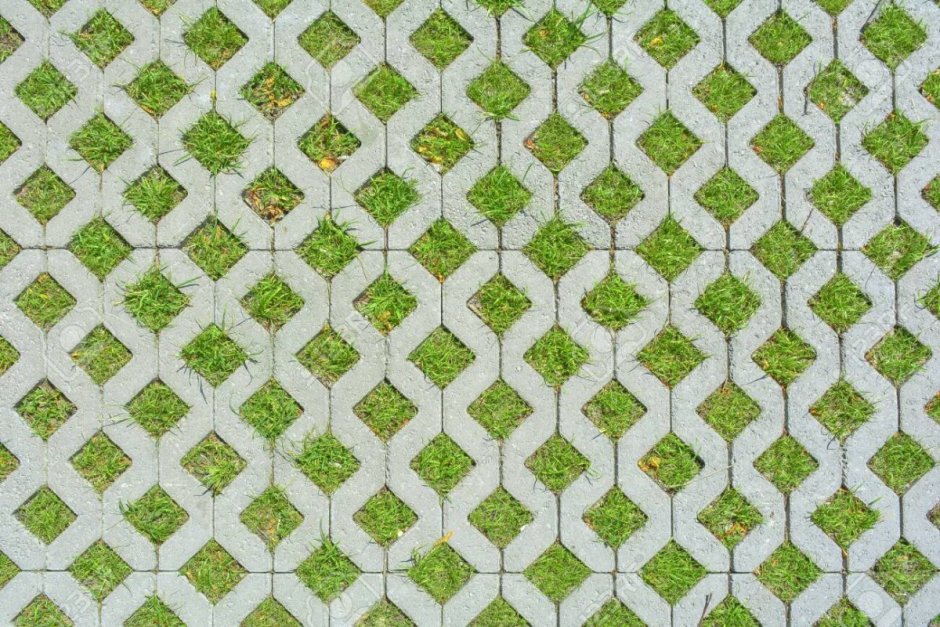 Кемкина Варвара