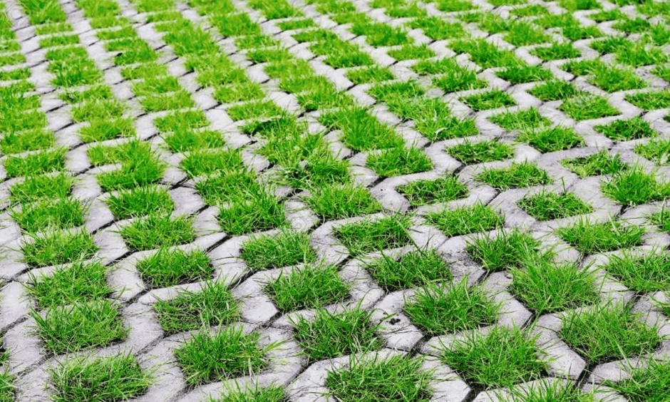 Экопарковка газонная