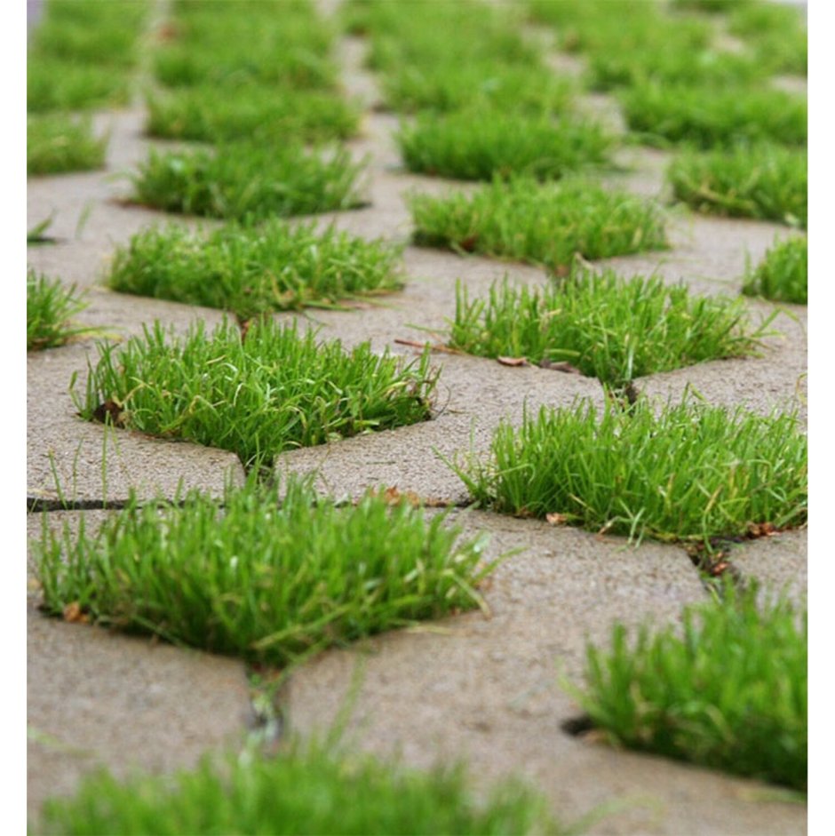 Экопарковка текстура бесшовная