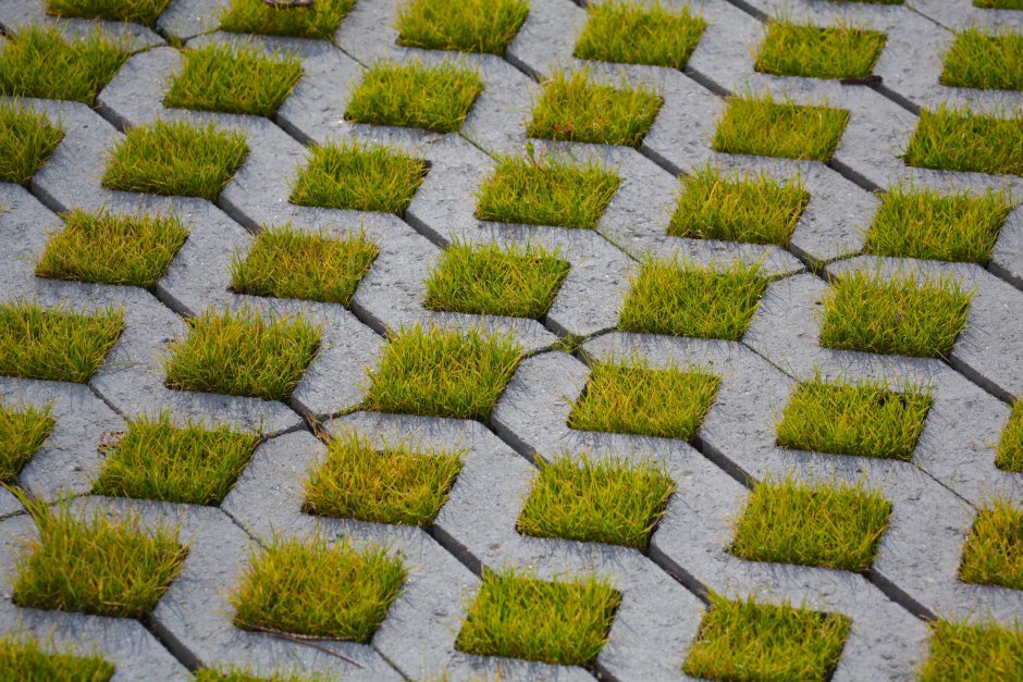 Тротуарная плитка с травой в швах