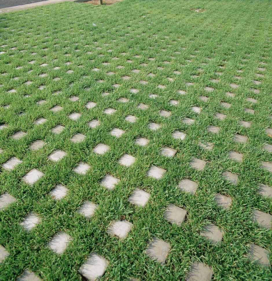 Газонная решетка 597х397х80