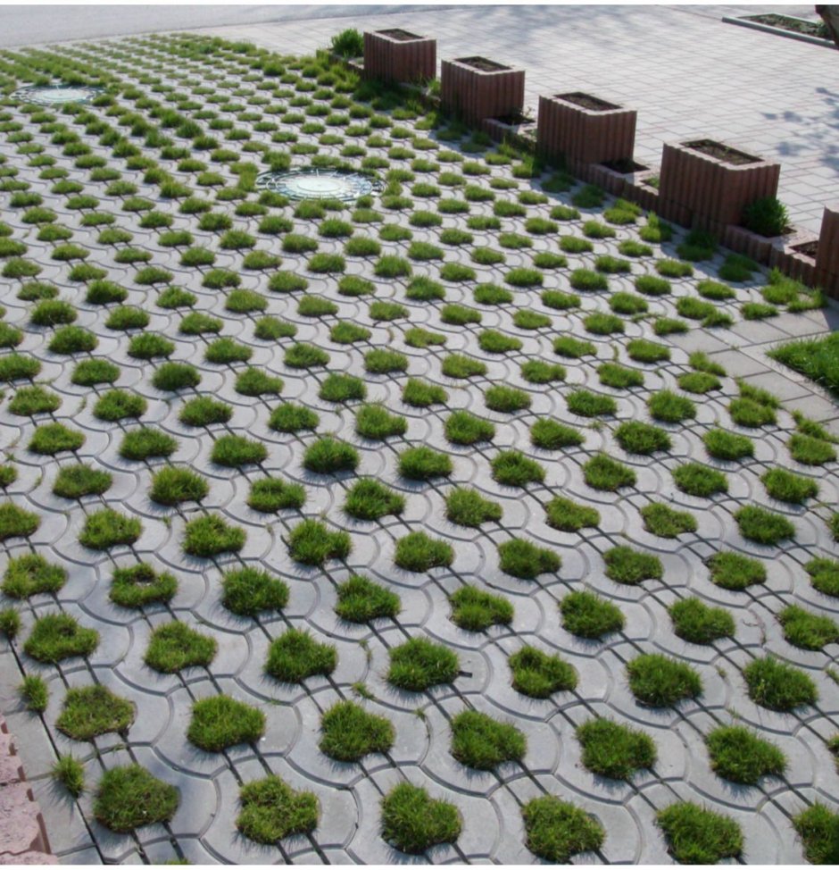 Брусчатка с проросшей травой