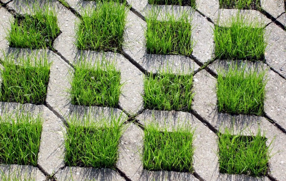 Газонная решетка травница