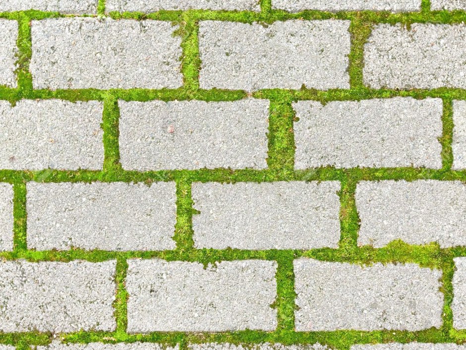 Решетка газонная Vortex 25012 55 х 34 см, зеленый 5.0