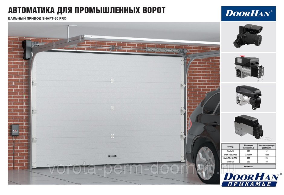 Ворота секционные подъемные 2750*2750 DOORHAN