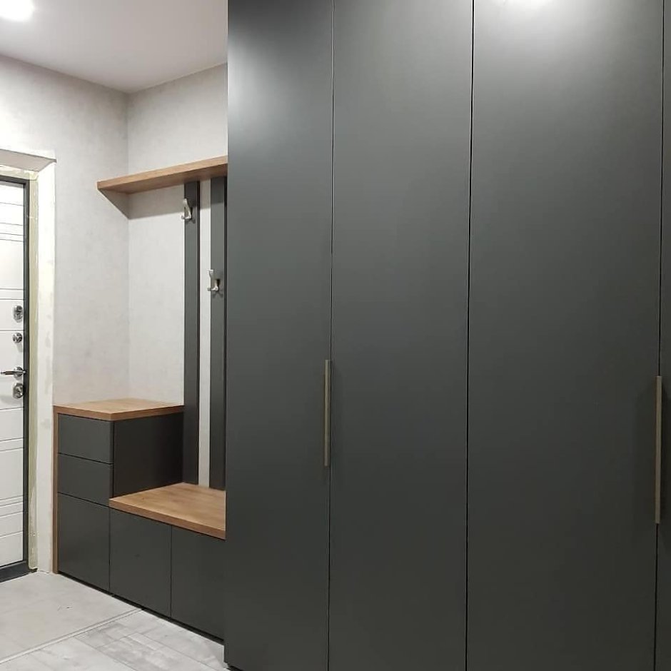 Современные распашные шкафы в прихожую