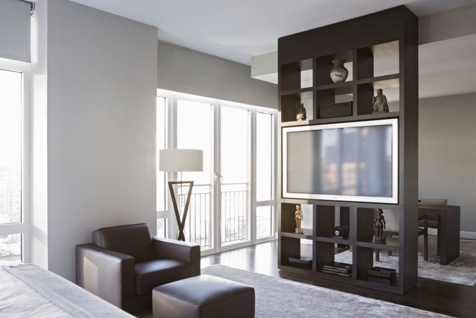 Перегородка с телевизором