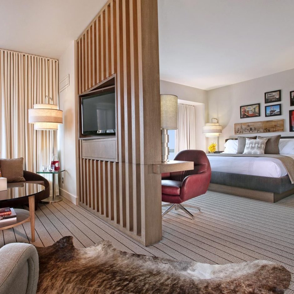 Перегородка с телевизором для зонирования