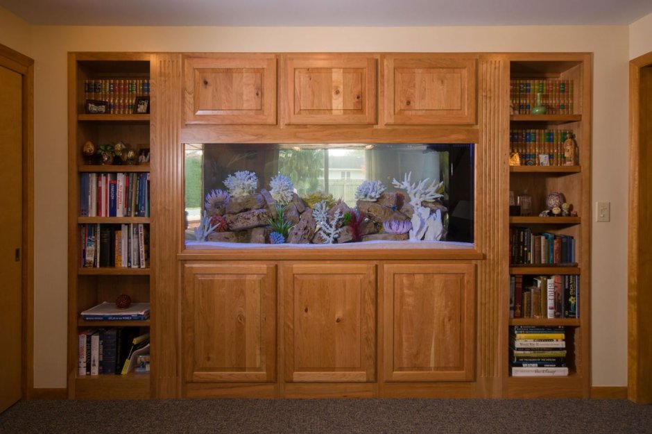 Книжный шкаф с аквариумом