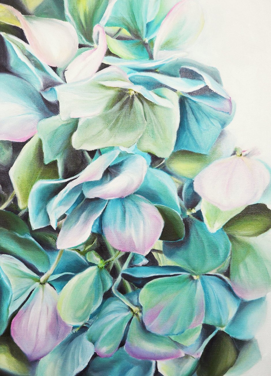 Зеленая гортензия акварелью