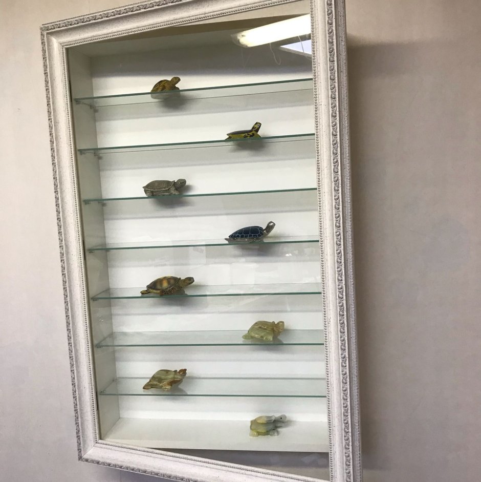 Полка для коллекции