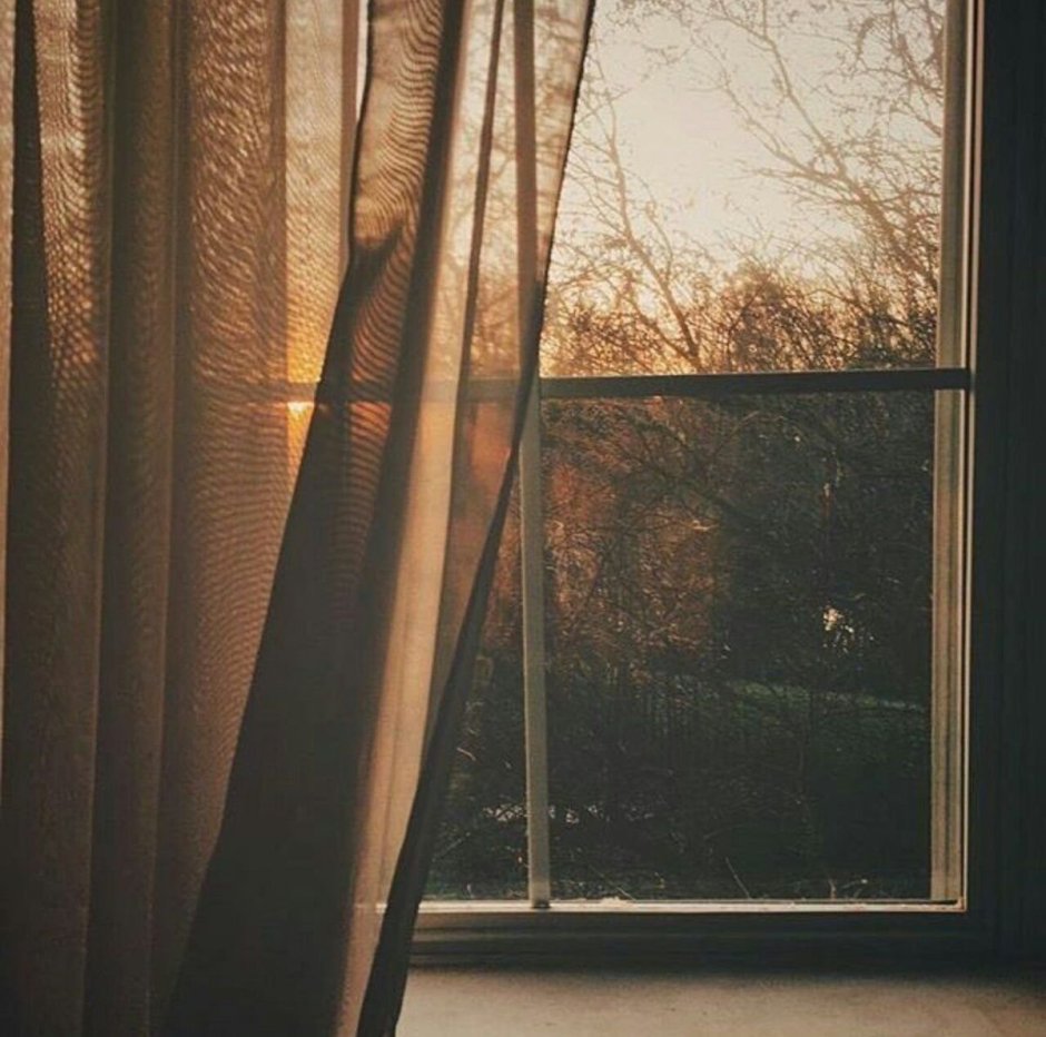 Эстетика коричневого