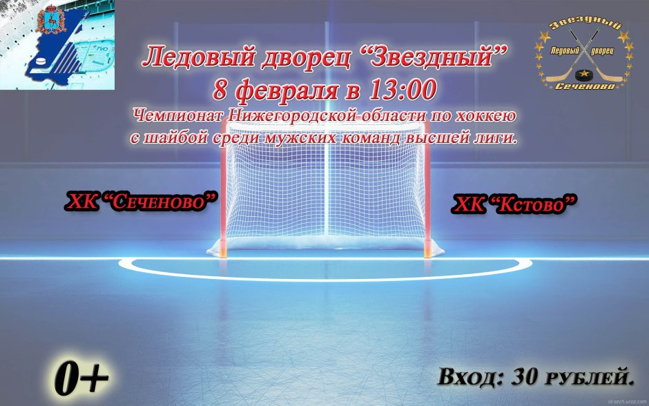 Ледовый дворец лого