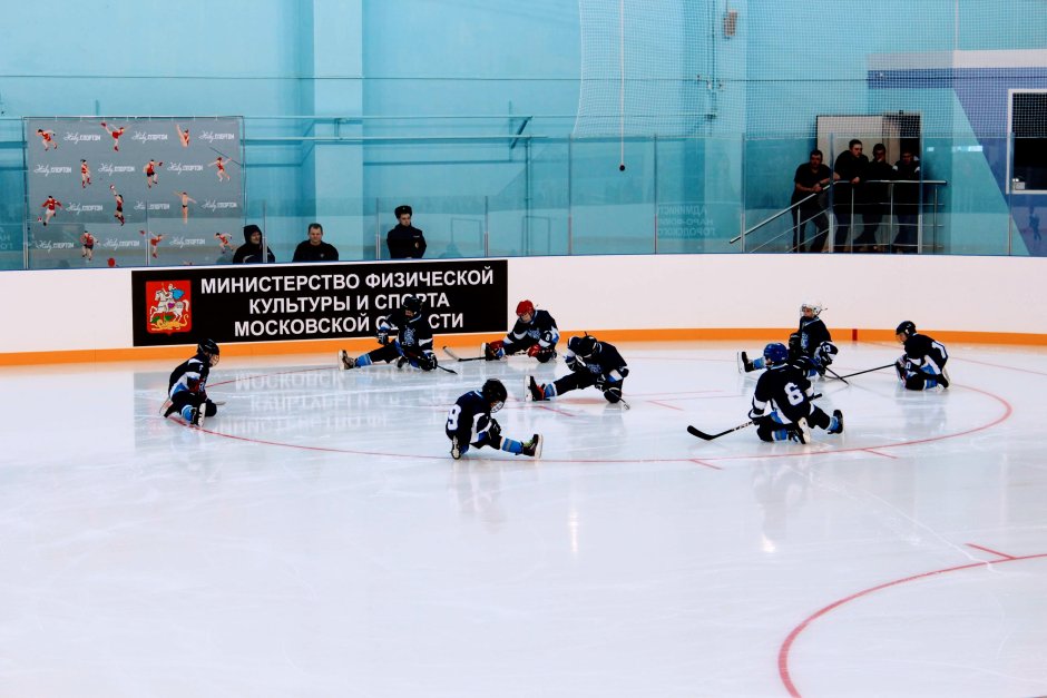 Ледовый дворец Селятино