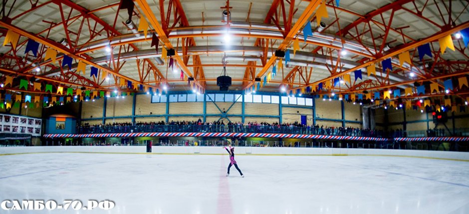 Платинум Арена расположение секторов