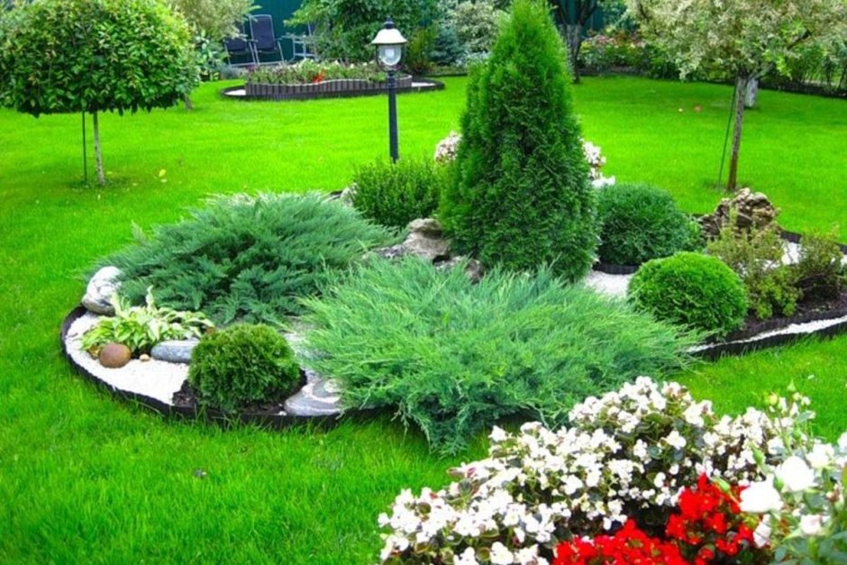 Схемы посадок хвойных и кустарников