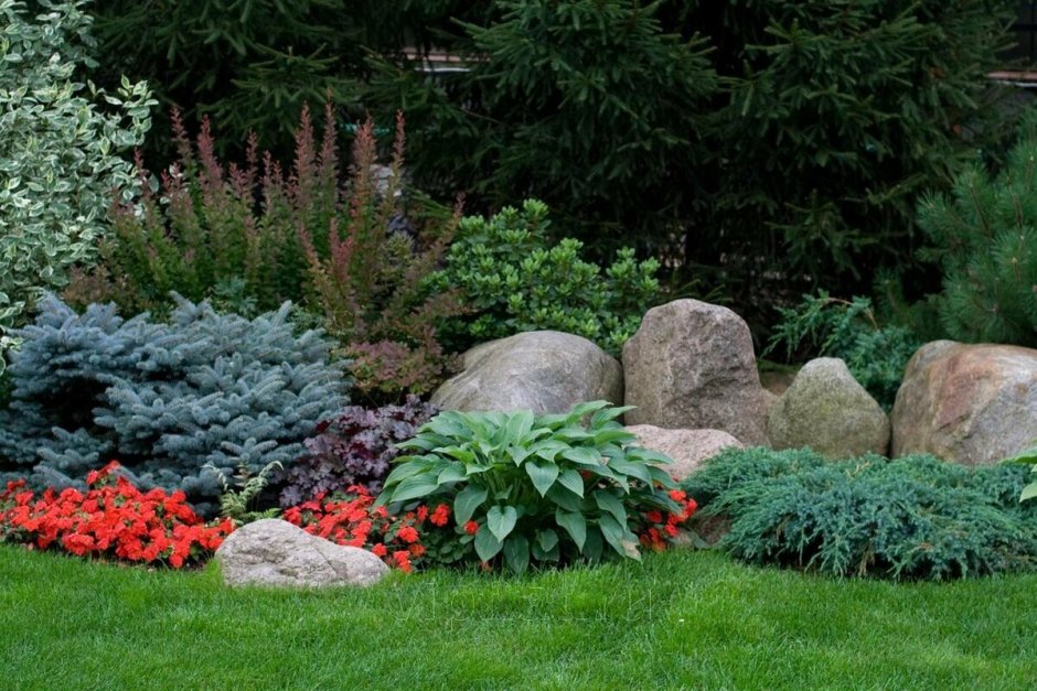 Хвойный миксбордер