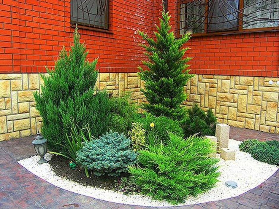 Клумбы миксбордеры непрерывного цветения