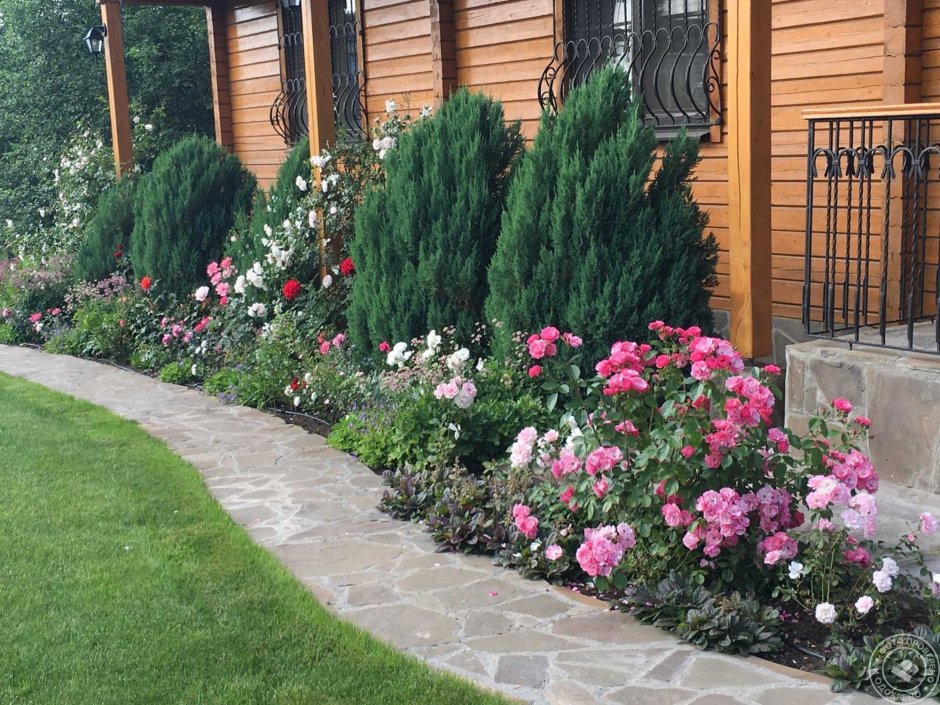 Хвойная клумба с туями Смарагд