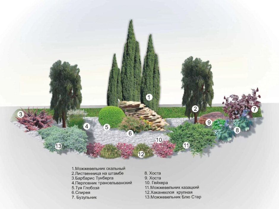 Можжевельник Блю Эрроу туя Smaragd