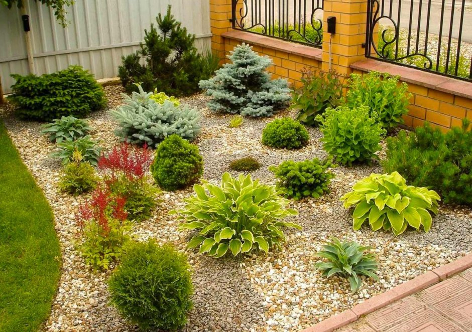 Схема высадки альпийской горки