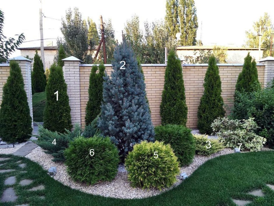 Миксбордер с туей Смарагд