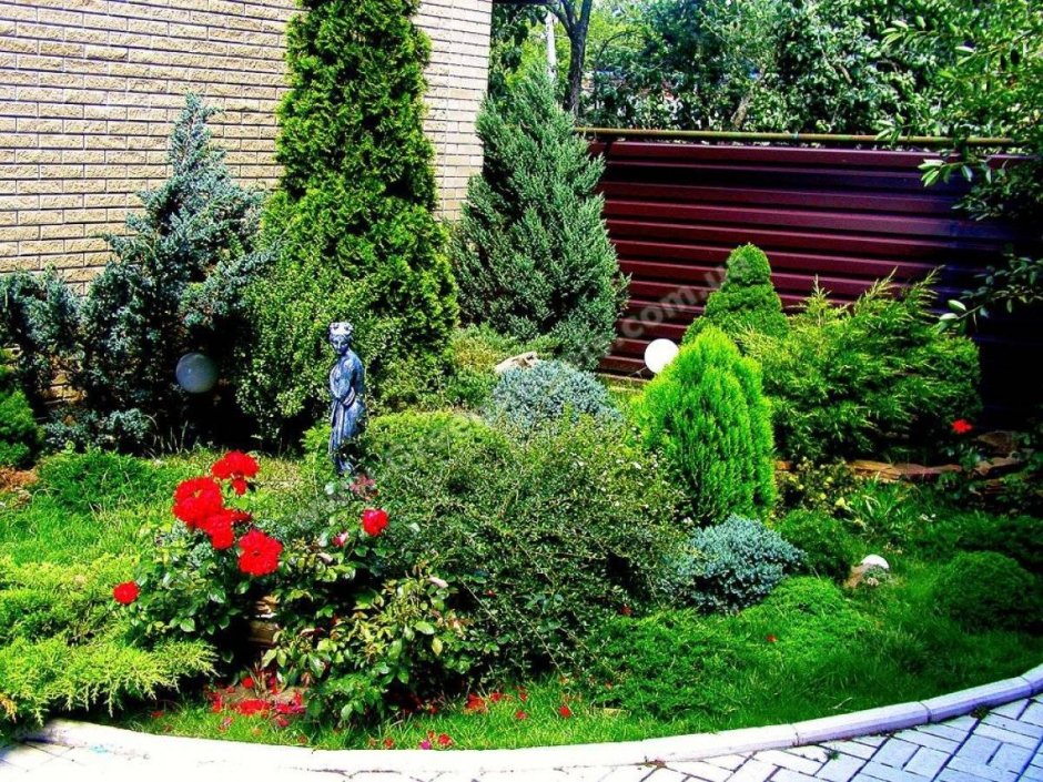 Миксбордер туя гортензия Барбарис можжевельник