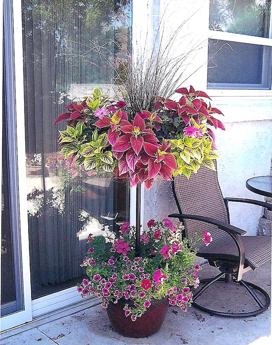 Цветочные композиции в кашпо для балкона