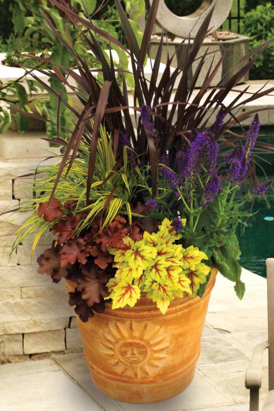 Гладиолусы в горшках и колеус