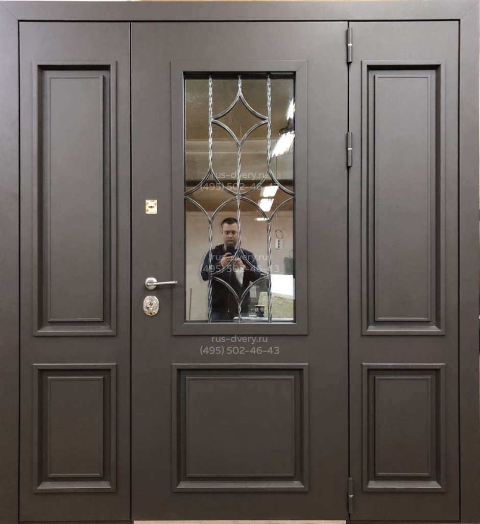 Дверь Торекс с фрамугой