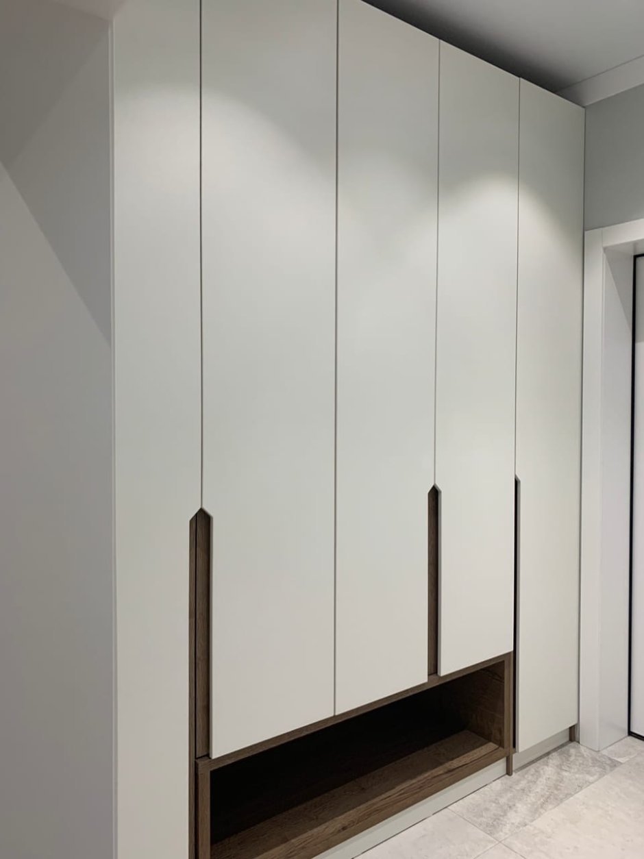 Шкаф в прихожую с распашными дверями