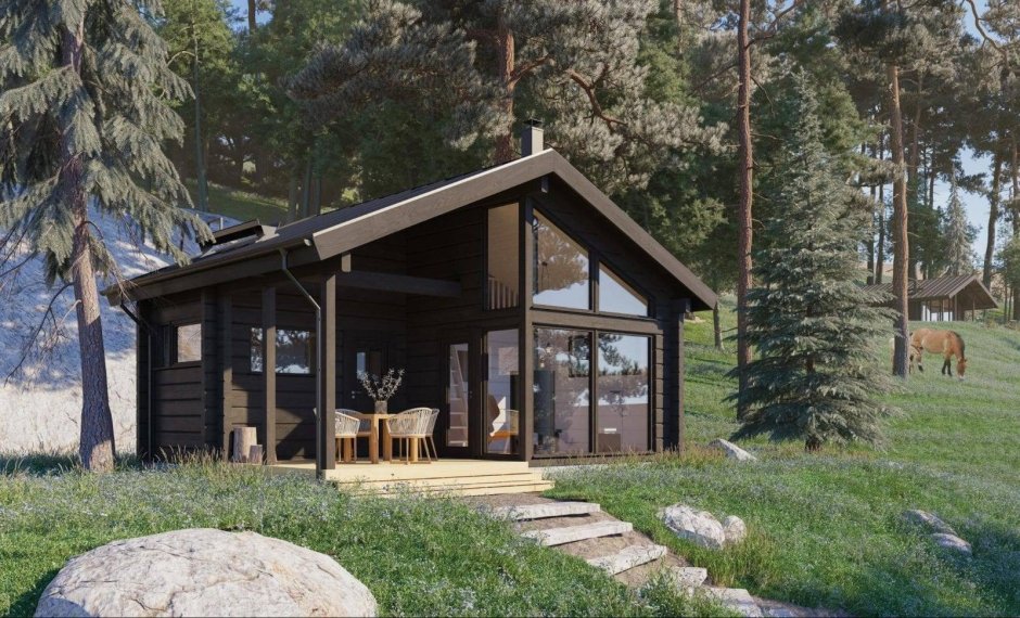 Дома в стиле Шале Хонка