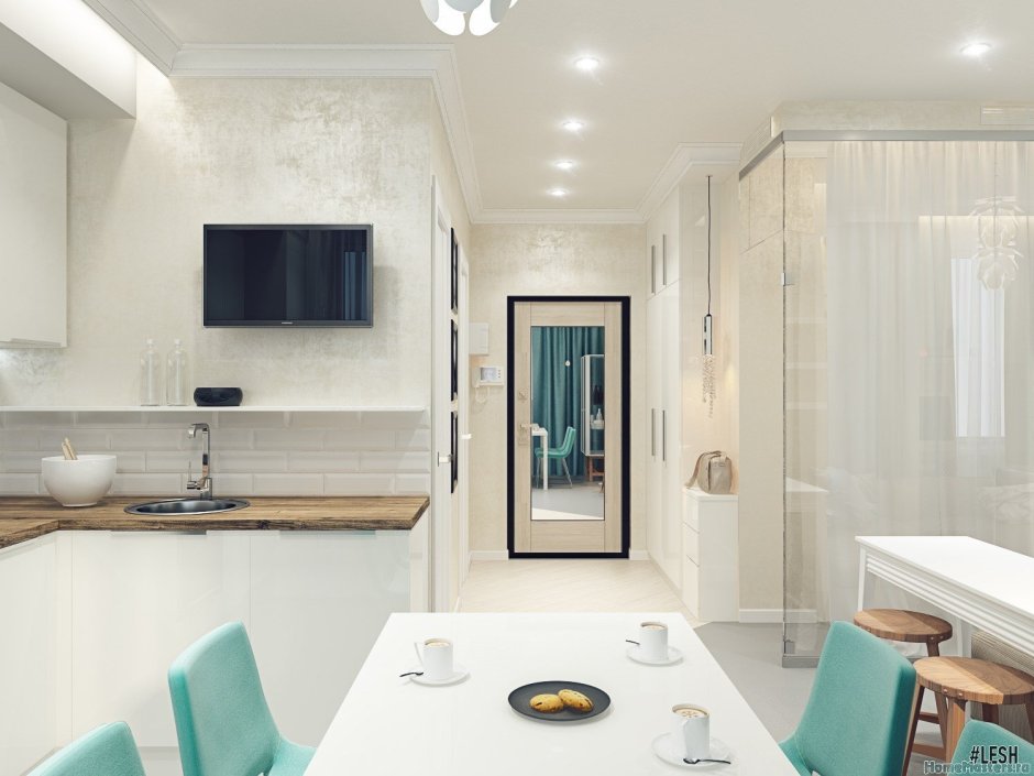 Кухня-гостиная с санузлом